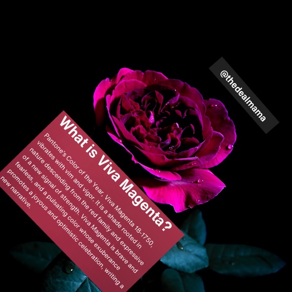 thanks for coming! NEW YEARS NOON-EVE 12/31 12pm hawaiian time posh n sip - Picture 7 of 12